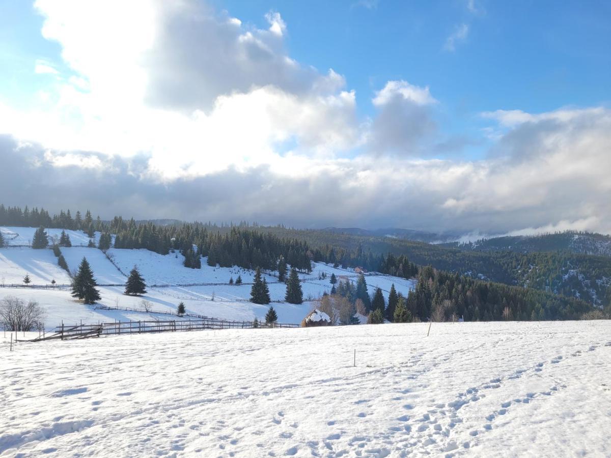 Casuta De Vacanta Marisel, Cluj Kültér fotó