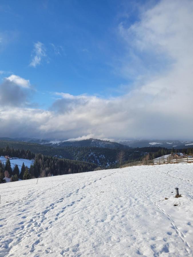 Casuta De Vacanta Marisel, Cluj Kültér fotó
