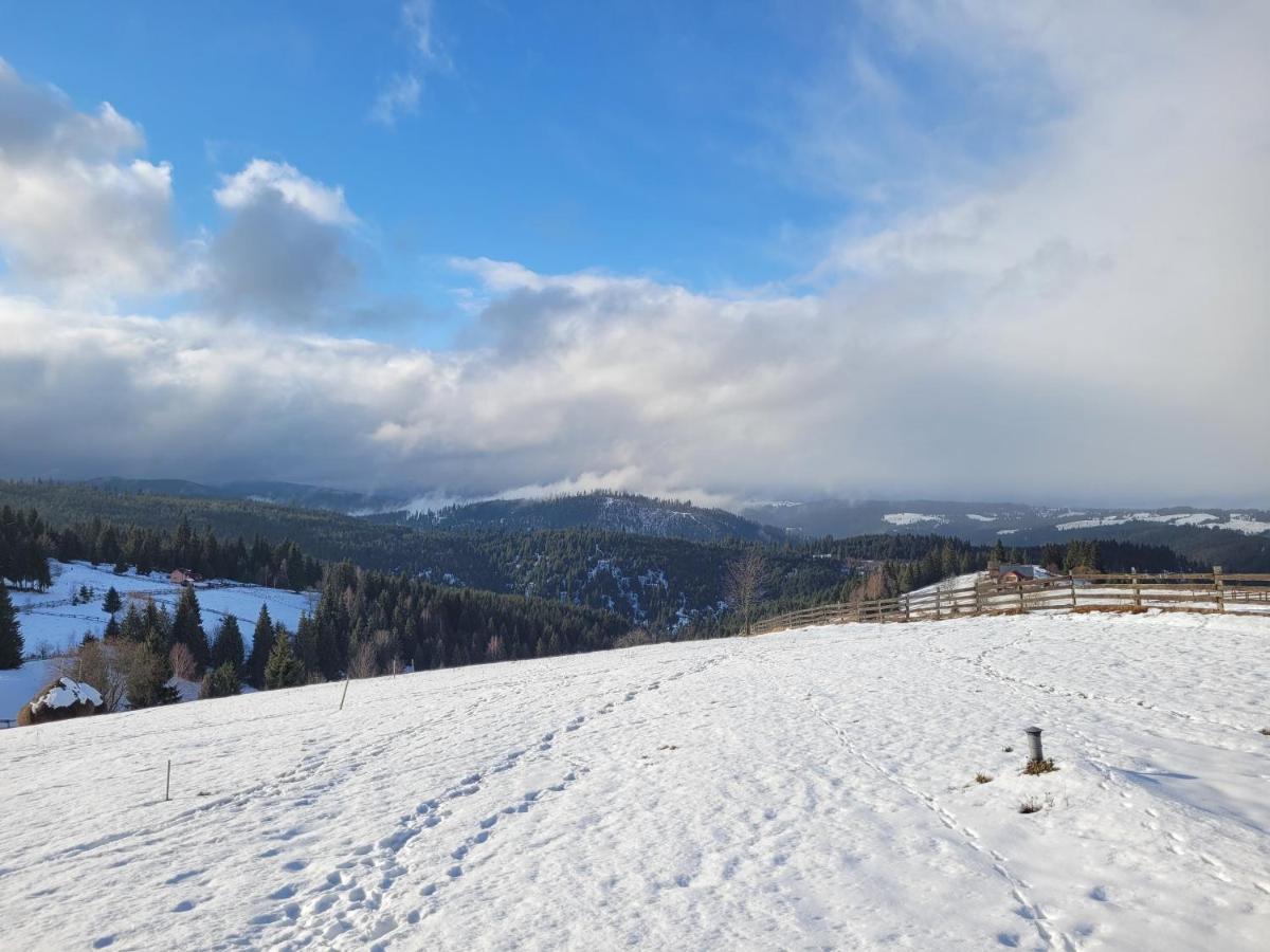 Casuta De Vacanta Marisel, Cluj Kültér fotó